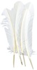 White - Turkey Quill Feathers 4/Pkg