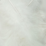 White - Flat Turkey Feathers 14 Grams