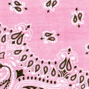 Hav - A - Hank Paisley Bandannas 22"X22"-Light Pink