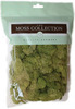 Spring Green - Preserved Reindeer Moss 108.5 Cubic Inches