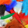 Assorted Colors - Feather Value Pack 71 Grams