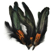 Natural Cocktail/Pheasant - Feather Picks 5.5" 3/Pkg