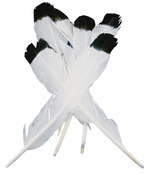 White With Black Tip - Simulated Eagle Feathers 4/Pkg