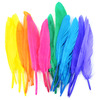 Bright Mix - Duck Quill Feathers 3" 24/Pkg