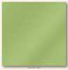 Willow Green Glimmer My Colors Cardstock - Photoplay