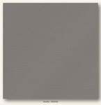 Granite Glimmer My Colors Cardstock - Photoplay