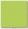 Limelight Canvas Textured My Colors Cardstock - Photoplay