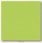 Limelight Canvas Textured My Colors Cardstock - Photoplay