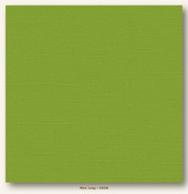 Mint Julep Canvas Textured My Colors Cardstock - Photoplay