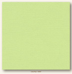 Lime Pop Canvas Textured My Colors Cardstock - Photoplay