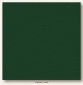 Evergreen Canvas Textured My Colors Cardstock - Photoplay