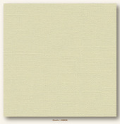Muslin Canvas Textured My Colors Cardstock - Photoplay