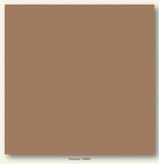 Chamois Canvas Textured My Colors Cardstock - Photoplay