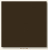 Brown Eyes Canvas Textured My Colors Cardstock - Photoplay