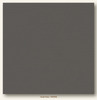 Cloak Gray Canvas Textured My Colors Cardstock - Photoplay