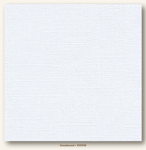 My Colors Canvas 80lb Cover Weight Cardstock 12x12 Snowbound