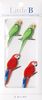 Tropical Birds Mini Stickers - Little B