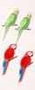 Tropical Birds Mini Stickers - Little B