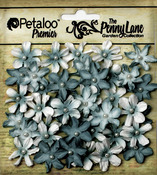 Dark Teal Mini Daisy Petites - Penny Lane - Petaloo