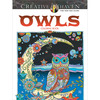 Creative Haven Owls - Dover Publications
