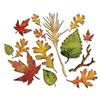 Fall Foliage Dies - Thinlits - Tim Holtz