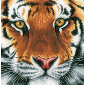 13.75"X13.5" 14 Count - LanArte Tiger On Aida Counted Cross Stitch Kit