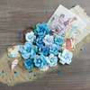 Deep Blue Sea French Riviera Flowers - Prima