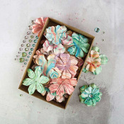 Melange Boxed Flower Set - Prima