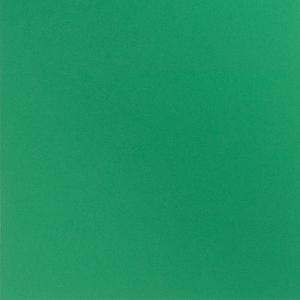 Green Apple 12x12 Smoothies Cardstock - Bazzill