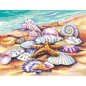 Shells - Paint Works Paint By Number Kit 11"X14"