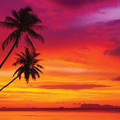 Tropical Sunset Paper - Just Beachy - Ella & Viv