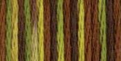 Camouflage - DMC Color Variations 6-Strand Embroidery Floss 8.7yd
