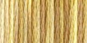Toasted Almond - DMC Color Variations 6-Strand Embroidery Floss 8.7yd