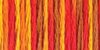 Fall Harvest - DMC Color Variations 6-Strand Embroidery Floss 8.7yd
