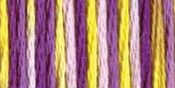 Purple Pansy - DMC Color Variations 6-Strand Embroidery Floss 8.7yd