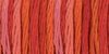 DMC 4200 Wild Fire - Color Variations 6-Strand Embroidery Floss 8.7yd