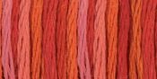 Wild Fire - DMC Color Variations 6-Strand Embroidery Floss 8.7yd