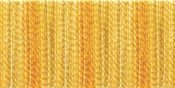 Wheat Field - DMC Color Variations 6-Strand Embroidery Floss 8.7yd