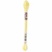 DMC 4077 Morning Sunshine - Color Variations 6-Strand Embroidery Floss 8.7yd
