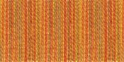 Desert Canyon - DMC Color Variations 6-Strand Embroidery Floss 8.7yd
