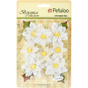 White - Botanica Regal Velvet Poinsettia 12/Pkg