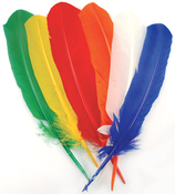 Primary - Turkey Quill Feathers 6/Pkg