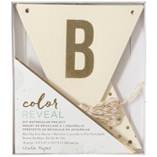 Best Day Ever - Color Reveal Watercolor Kit Banner 18/Pcs