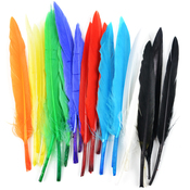 Assorted Colors - Mini Indian Feathers 24/Pkg