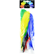 Assorted Colors - Indian Feathers 12/Pkg