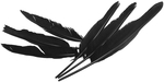 Black - Indian Feathers 6/Pkg