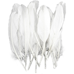 White - Goose Wing Rounds Feathers 22/Pkg