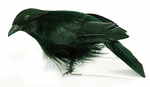 Standing Crow - Mushroom Bird 4"
