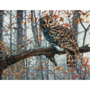 14"X11" 14 Count - Wise Owl Counted Cross Stitch Kit