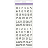 Calendar Black - Letters & Numbers Medley Clear Stickers